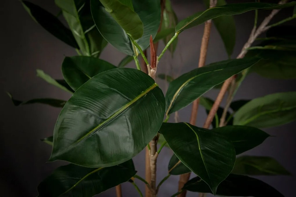 Aranjament floral mare decor festiv design LUX GOLD ATOLLO FICUS H-118cm