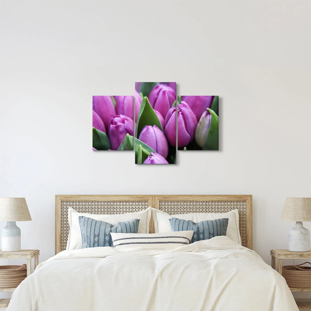 Tablou - florile lalelelor (90x60 cm)