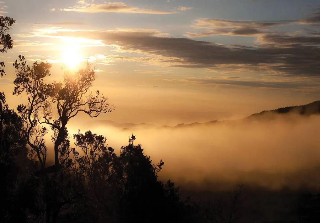 Fototapet - Răsărit de soare deasupra  pădurii în ceață (152,5x104 cm), în 8 de alte dimensiuni noi