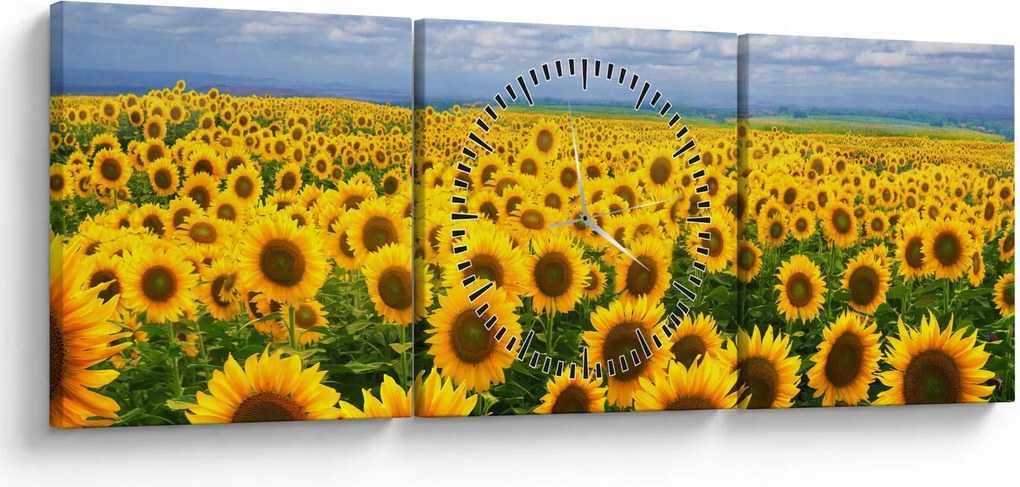 Tablou cu lan de floarea soarelui (cu ceas) (90x30 cm)