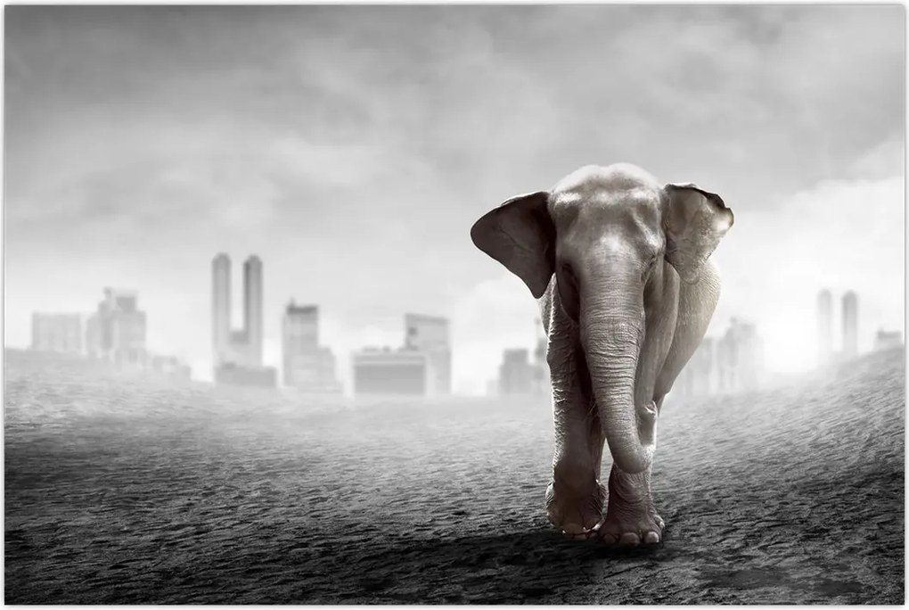 Tablou - Elefanți în oraș, versiunea alb-negru (90x60 cm)