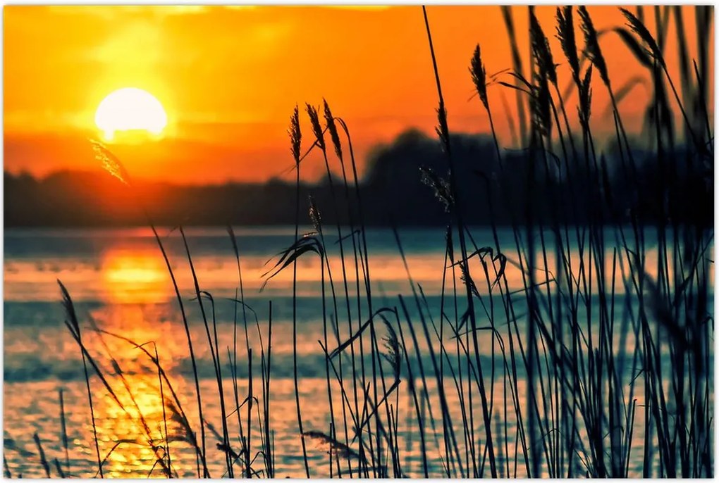 Tablou - Apus de soare la lac (90x60 cm)