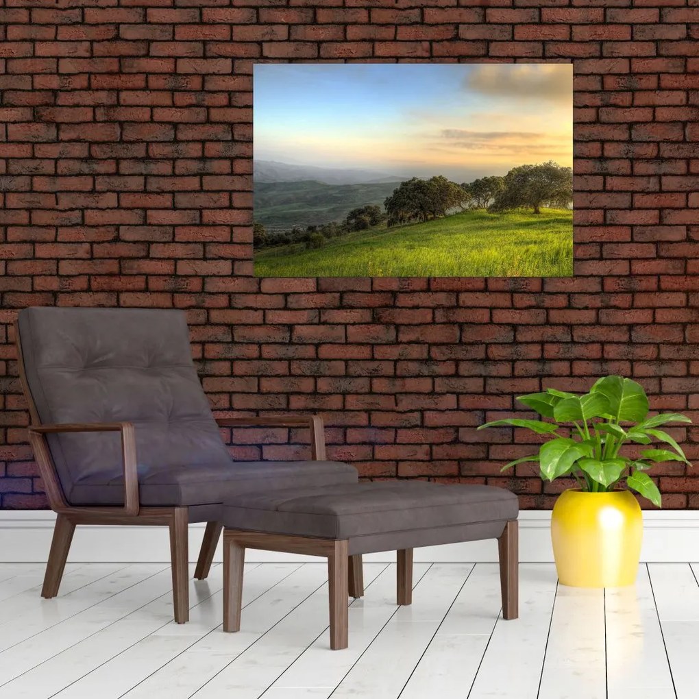 Tablou - Privire de pe deal (90x60 cm)