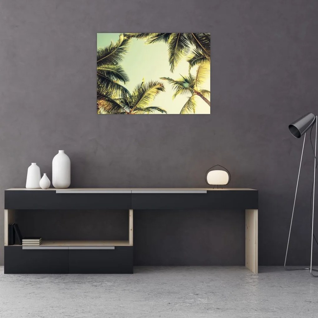 Tablou pe sticlă - Palmieri de cocos (70x50 cm)