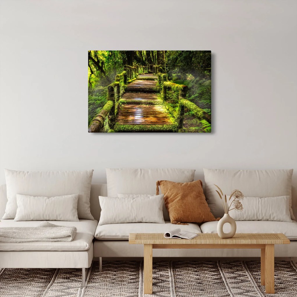 Tablou cu scări într-o pădure tropicală (90x60 cm)