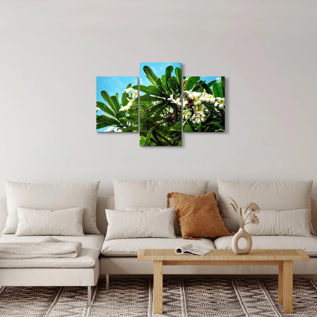 Tablou - Plumeria (90x60 cm)