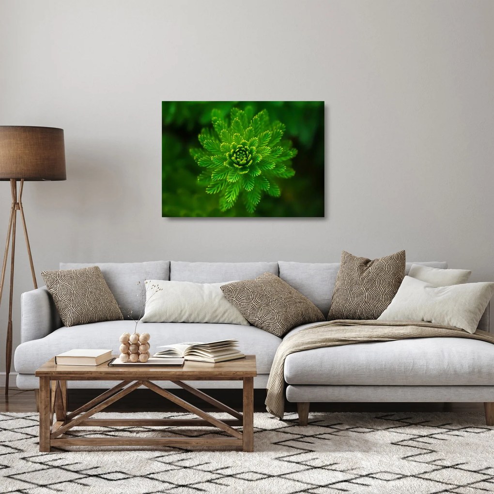 Tablou pe sticlă cu coniferi (70x50 cm)