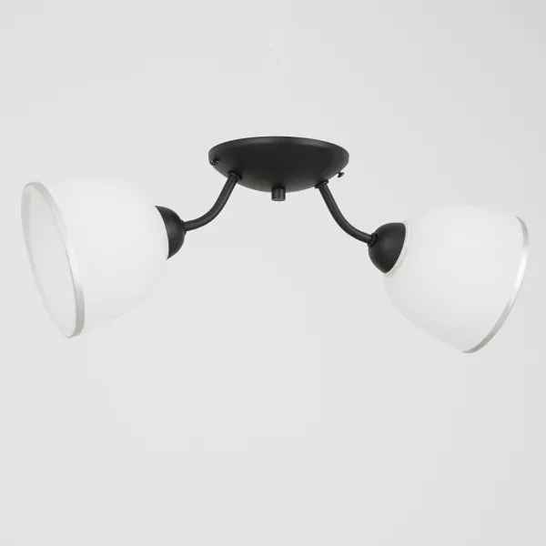 Plafonieră AVIA 2xE27/60W/230V