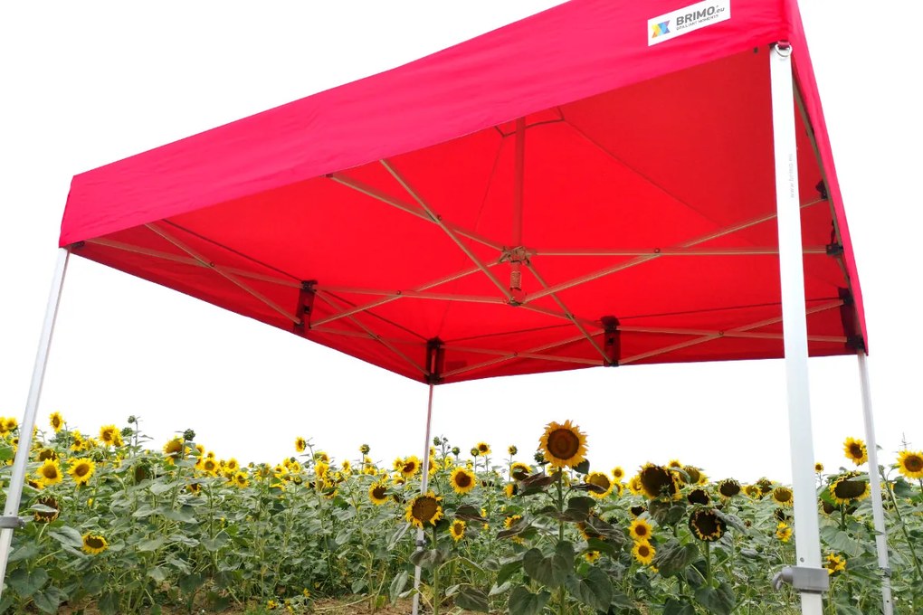 Cort promo din aluminiu 4x4 m ALU EXCLUSIVE – 3 pereți, HEX 45 mm - cu 3 pereți - Albastru