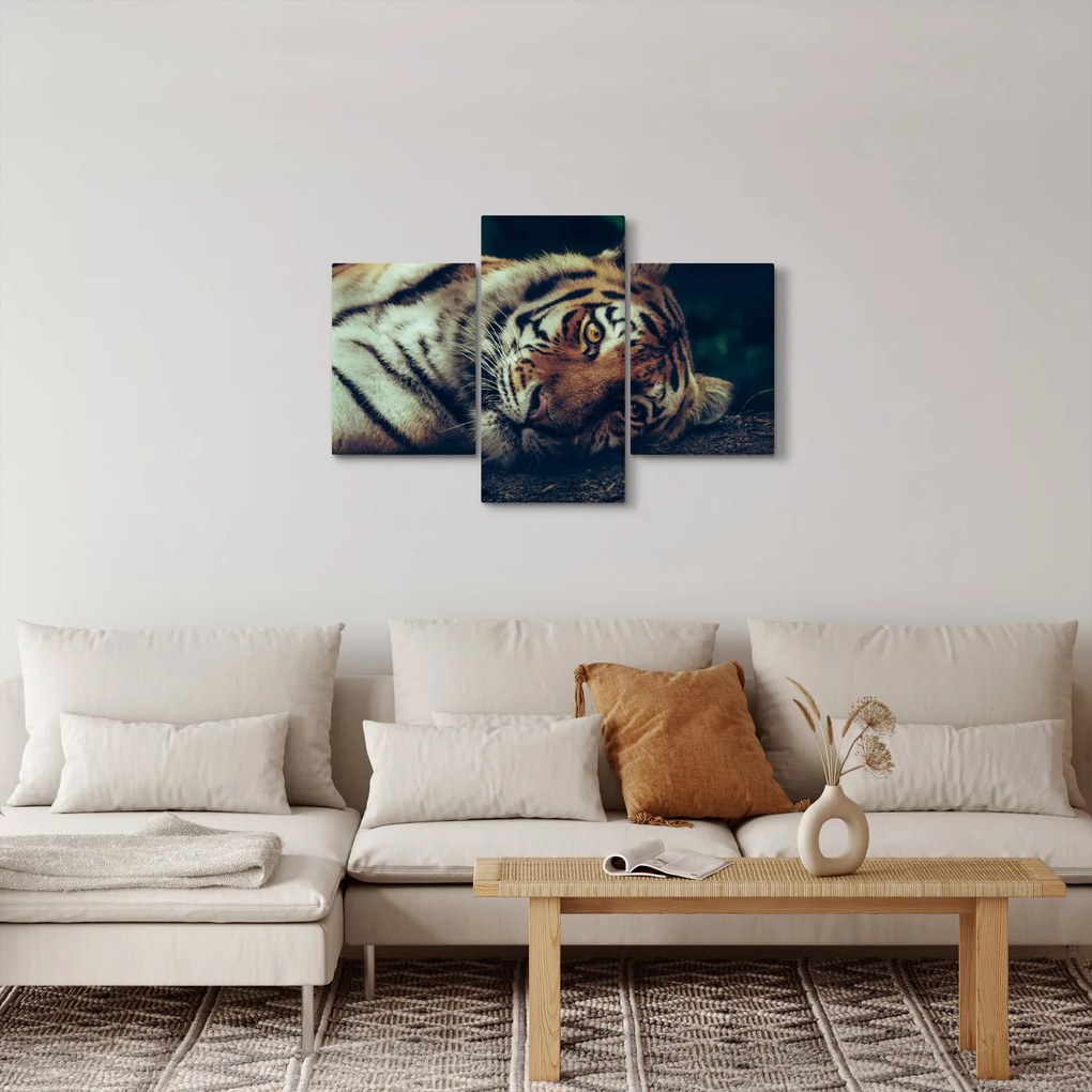 Tablou - Tigrul Siberian (90x60 cm)