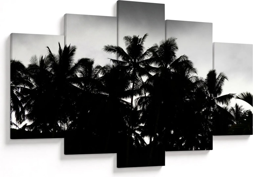 Tablou alb negru - palmieri (150x105 cm)