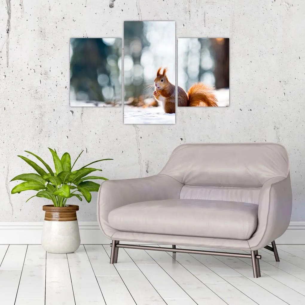 Tablou - Veveriță (90x60 cm)