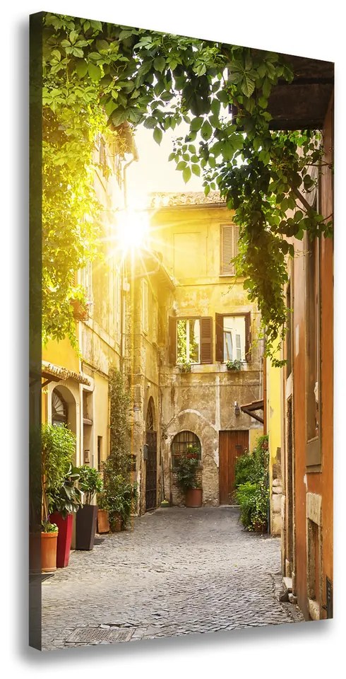 Tablou pe pânză canvas Străzile italiene