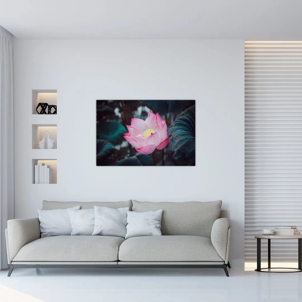 Tablou cu floare roz (90x60 cm)