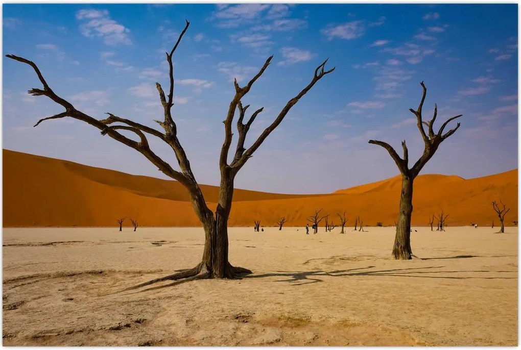 Tablou - Valea Morții (90x60 cm)