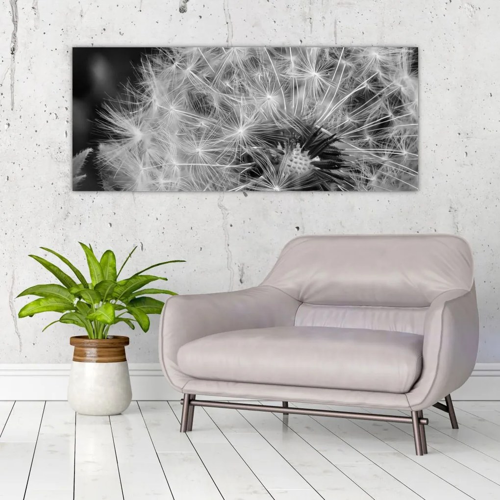 Tablou - mulțime de păpădii (120x50 cm)