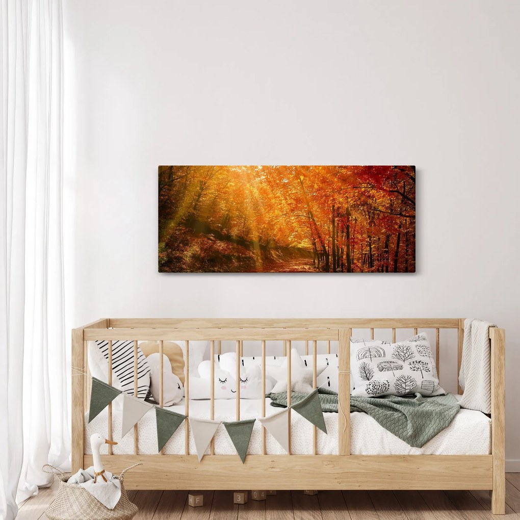 Tablou cu pădurea în toamnă (120x50 cm)