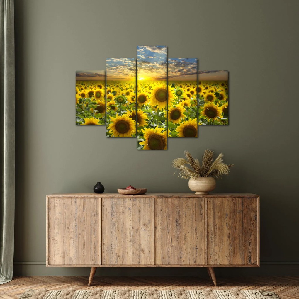 Tablou - Floarea-soarelui la apus de soare (150x105 cm)