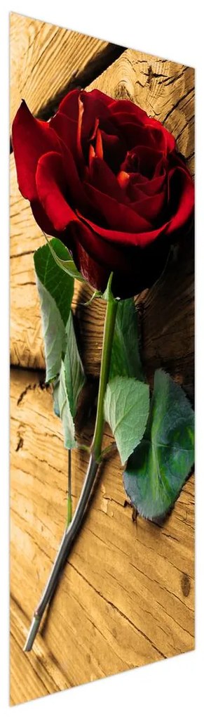 Fotojaluzele R013403R57150 (57x150 cm)