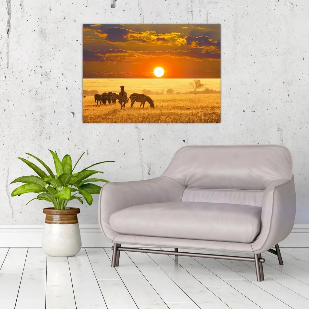 Tablou - Zebre cu apus de soare (70x50 cm)