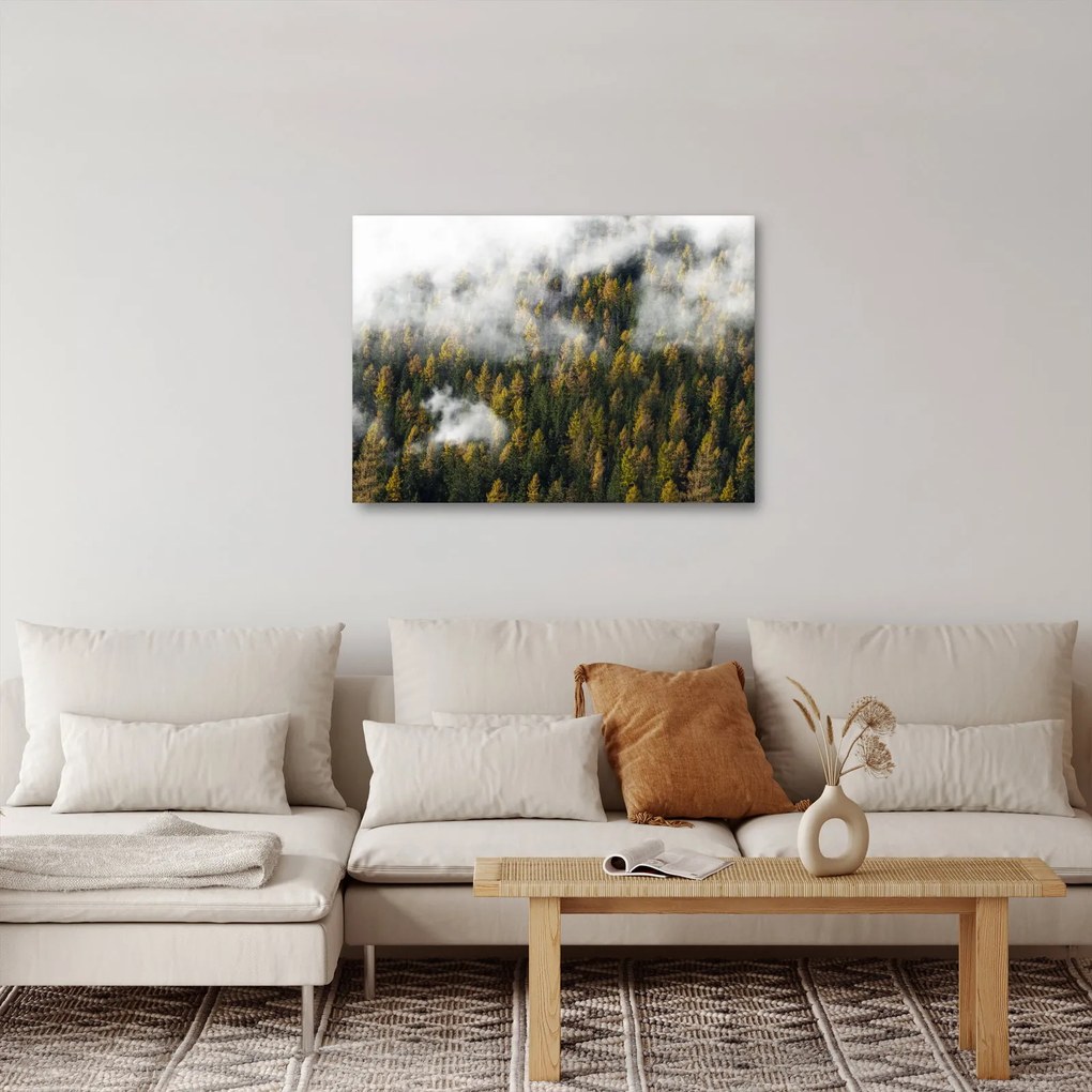 Tablou - Pădure în nori (70x50 cm)