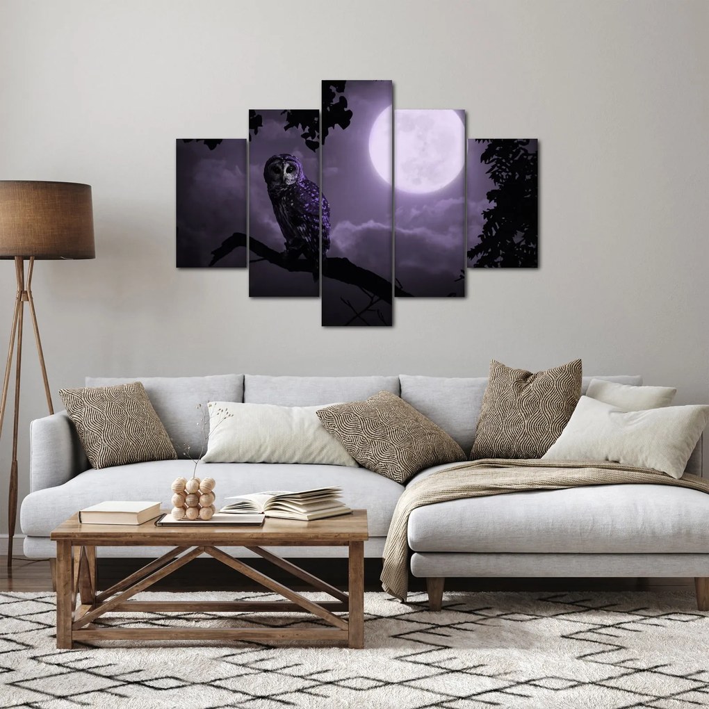 Tablou - Bufniță de noapte, violet (150x105 cm)