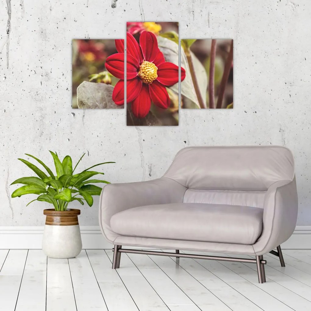 Tablou cu floare (90x60 cm)