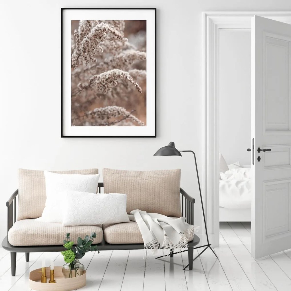 Poster - Florile plantei (A4)