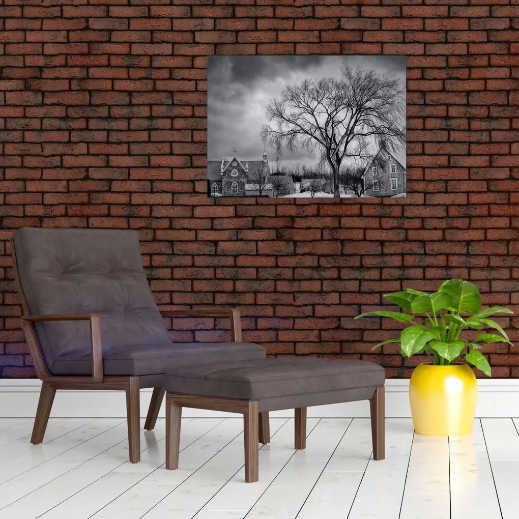 Tablou cu sat alb negru (70x50 cm)