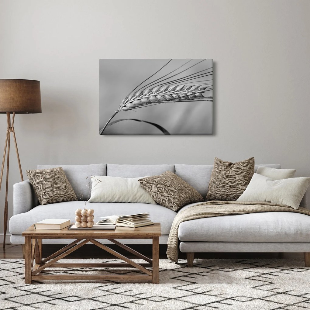 Tablou - Grâu,alb-negru (90x60 cm)