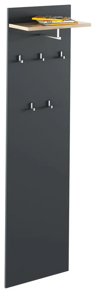 Panou cu cuier RIOMA TIP 19, grafit/stejar artisan