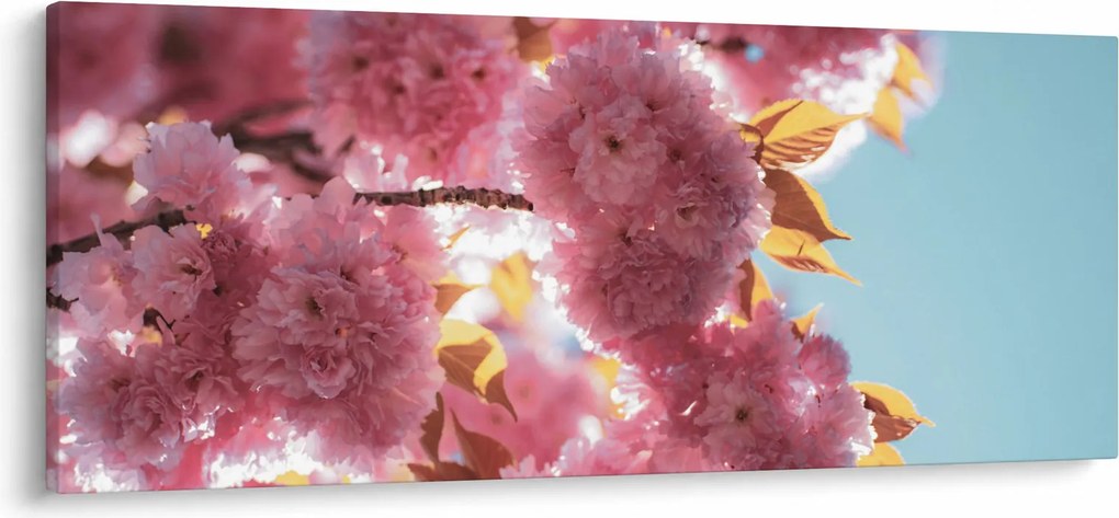 Tablou - Floare de cireș (120x50 cm)