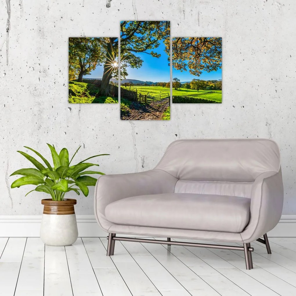 Tablou Privire la câmp (90x60 cm)