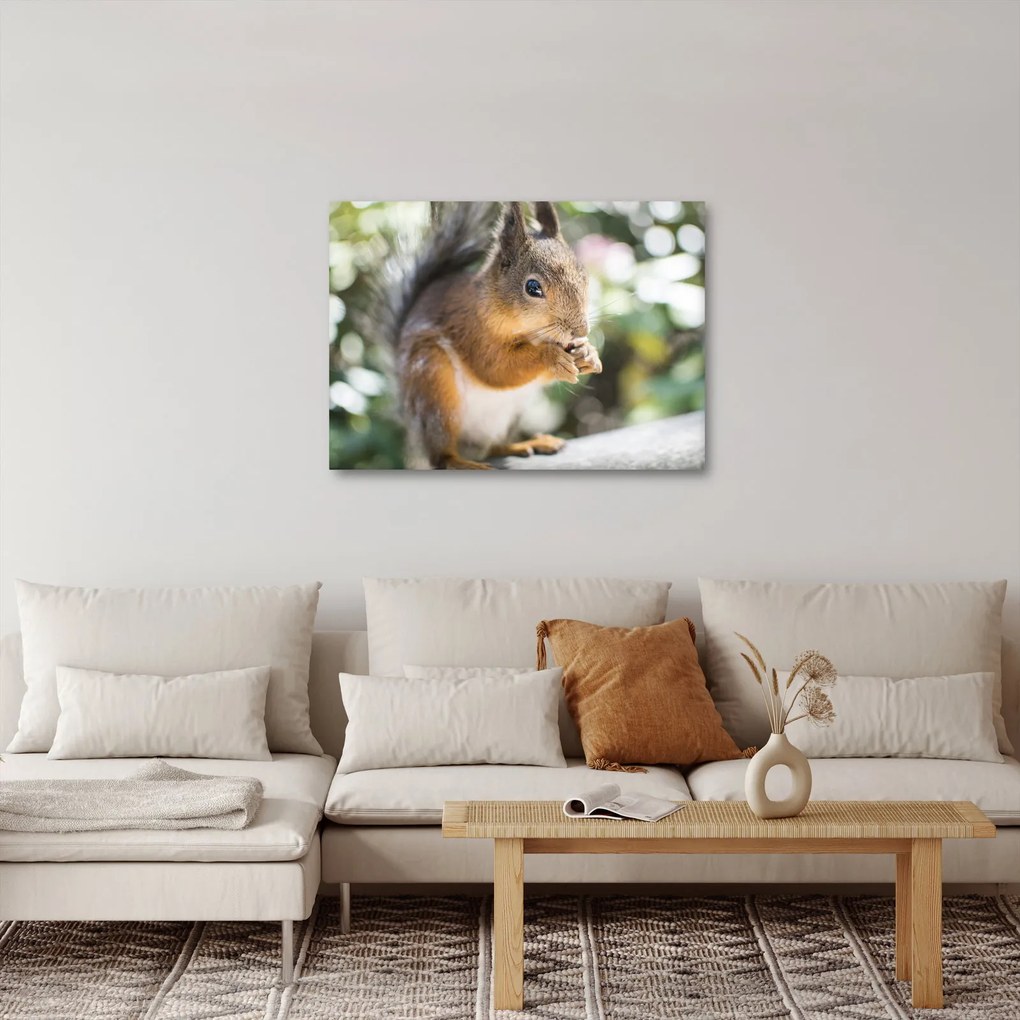 Tablou cu veverița (70x50 cm)