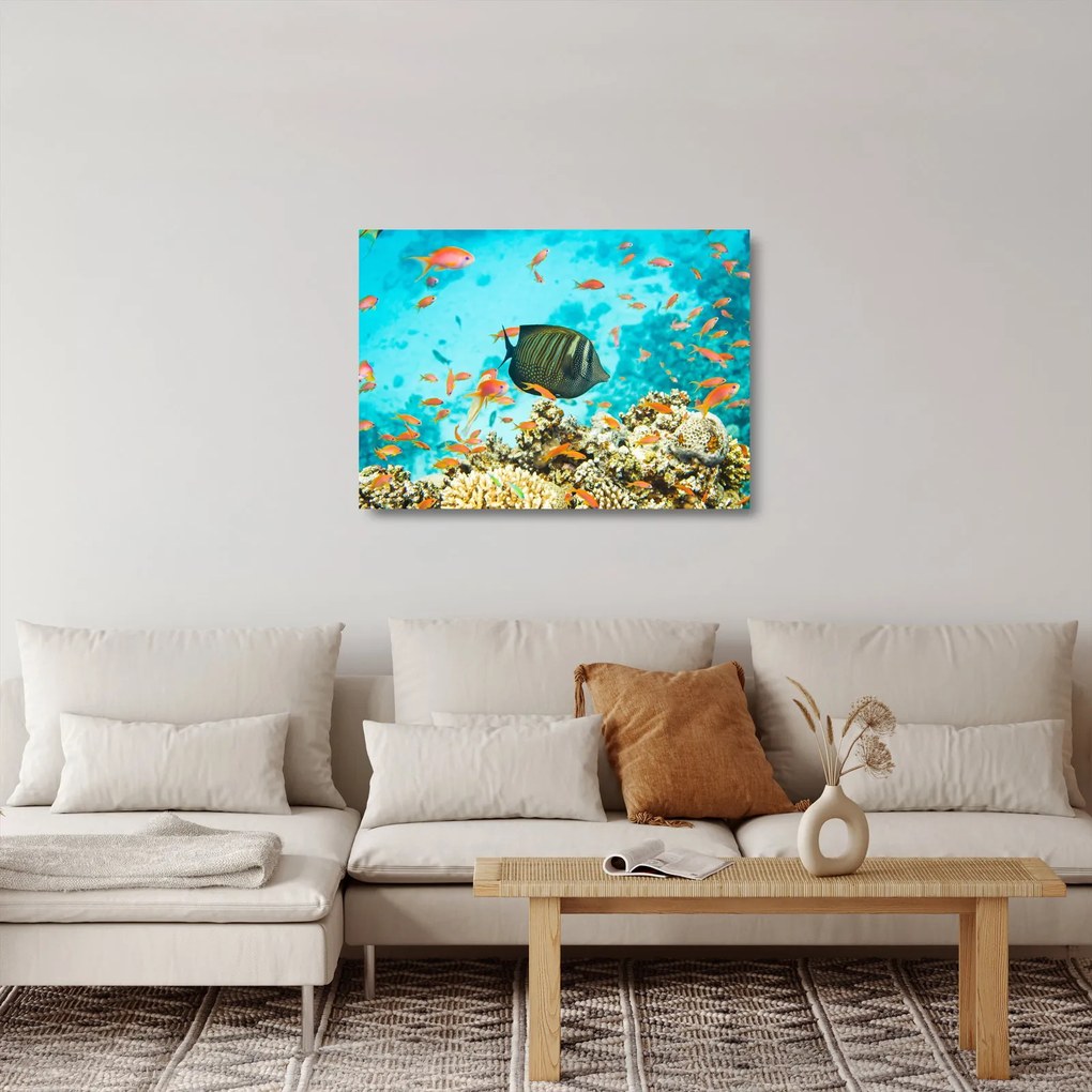 Tablou pe sticlă lumii submarine (70x50 cm)