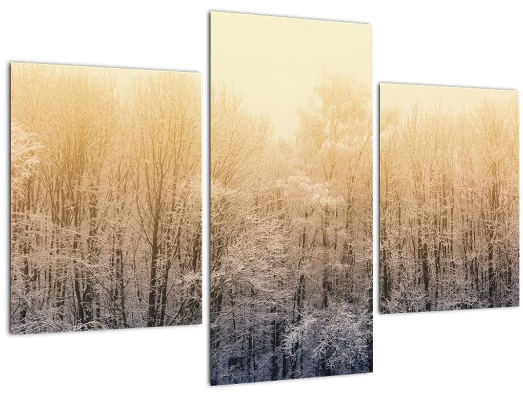 Tablou cu pădure geroasă (90x60 cm)