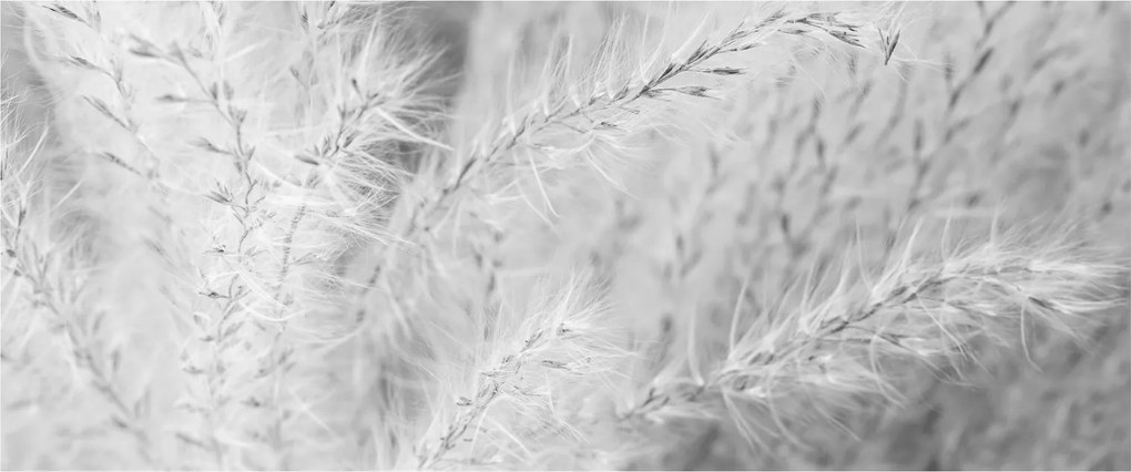 Tablou - Iarbă de pampas N⁰1 (120x50 cm)