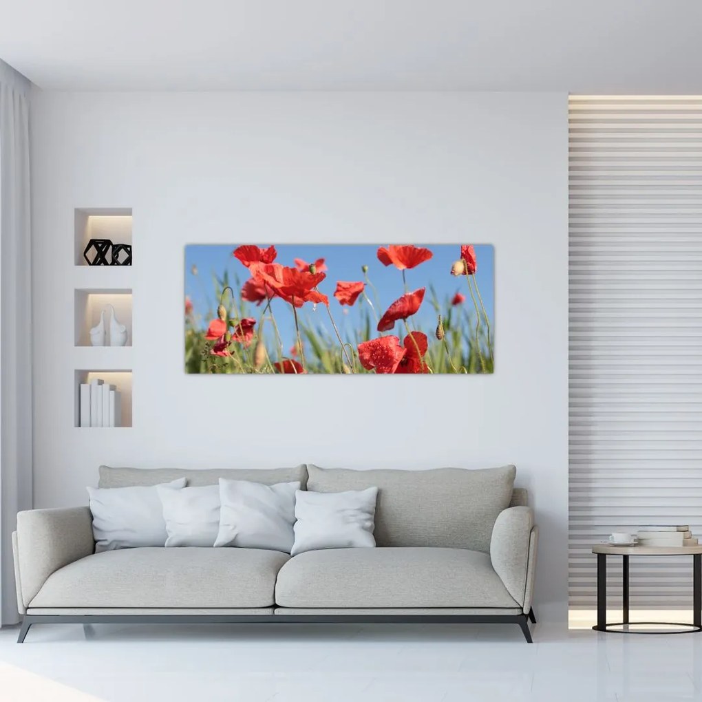 Tablou - Maci (120x50 cm)