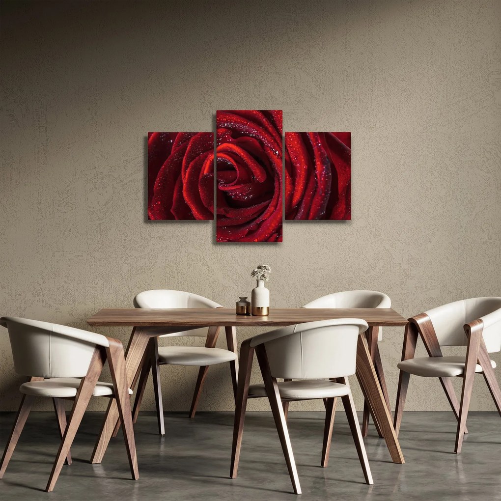 Tablou - Trandafir roșu cu picături de rouă (90x60 cm)