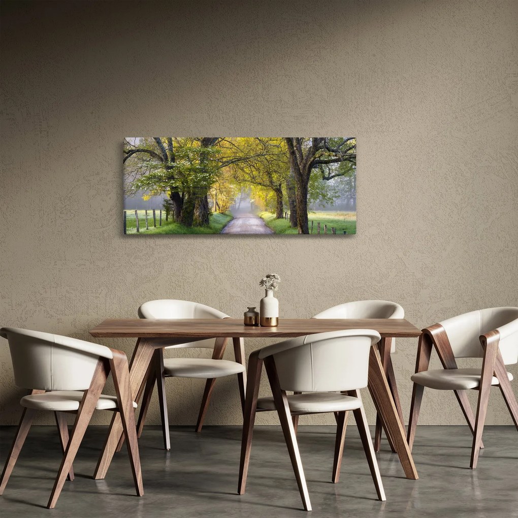 Tablou - Smoky Mountains, Gatlinburg, SUA (120x50 cm)