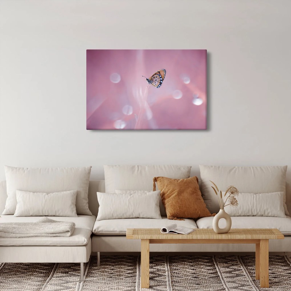 Tablou - Fluture (90x60 cm)