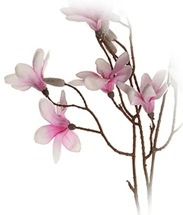 Magnolie ramură violetă înălțime 70 cm. 9 flori șiboboci