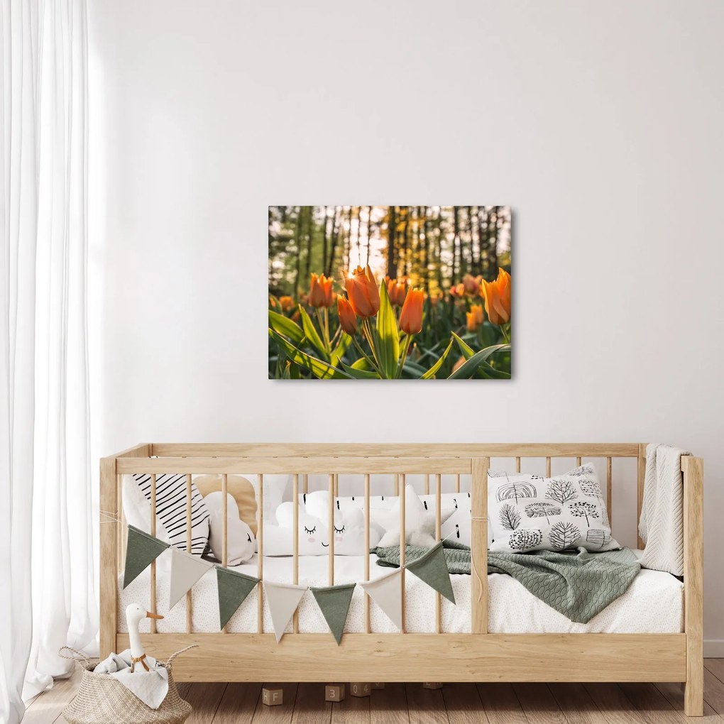 Tablou - florile lalelelor (70x50 cm)