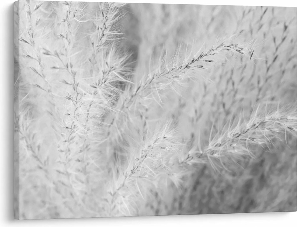 Tablou - Iarbă de pampas N⁰1 (70x50 cm)