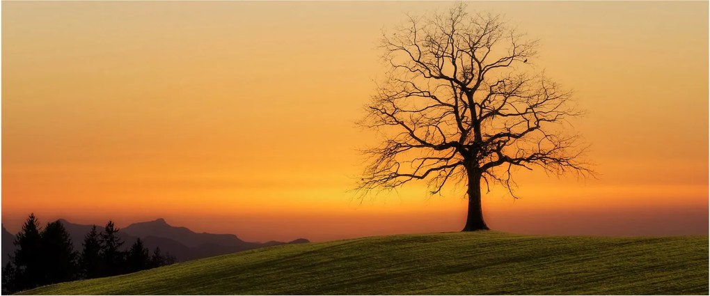 Tablou cu apus de soare pe o luncă (120x50 cm)