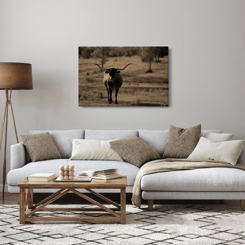 Tablou - Vacă din Texas (90x60 cm)