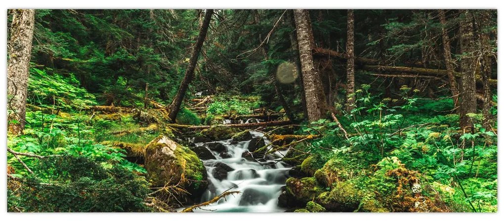 Tablou cu pârău în pădure (120x50 cm)