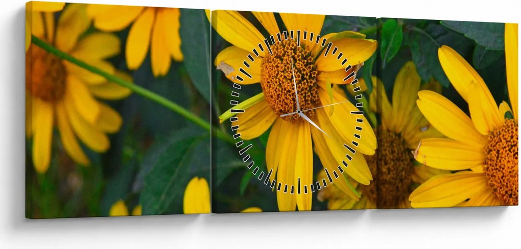 Tablou cu flori galbene (cu ceas) (90x30 cm)