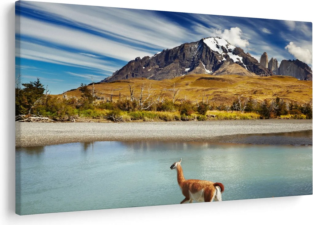 Tablou - Parcul Național Torres del Paine (90x60 cm)