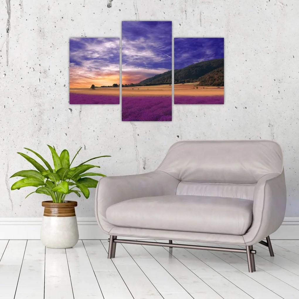 Tablou cu lunca cu lavandă (90x60 cm)